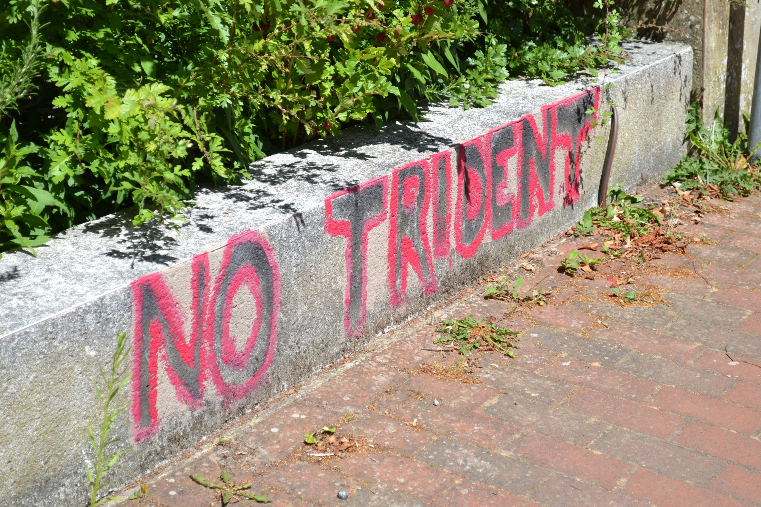 'No Trident' painted on garden wall